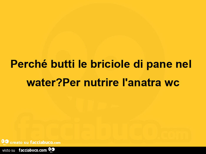 Perché butti le briciole di pane nel water Per nutrire l anatra wc