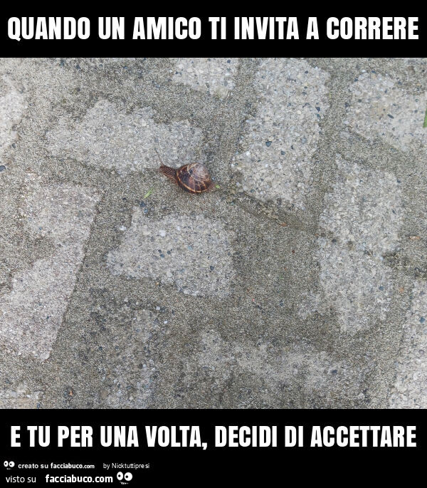 Quando Un Amico Ti Invita A Correre E Tu Per Una Volta Decidi Di