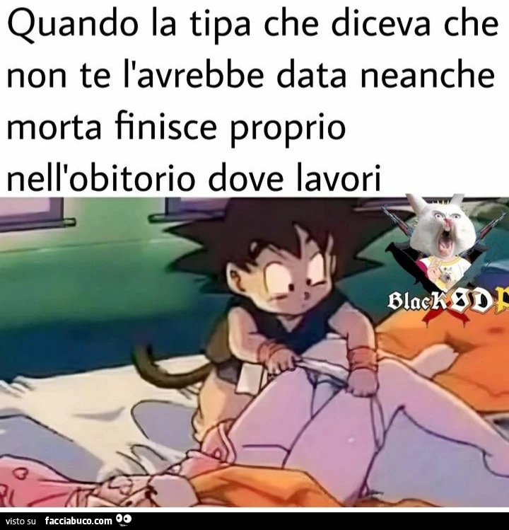 Vaccata