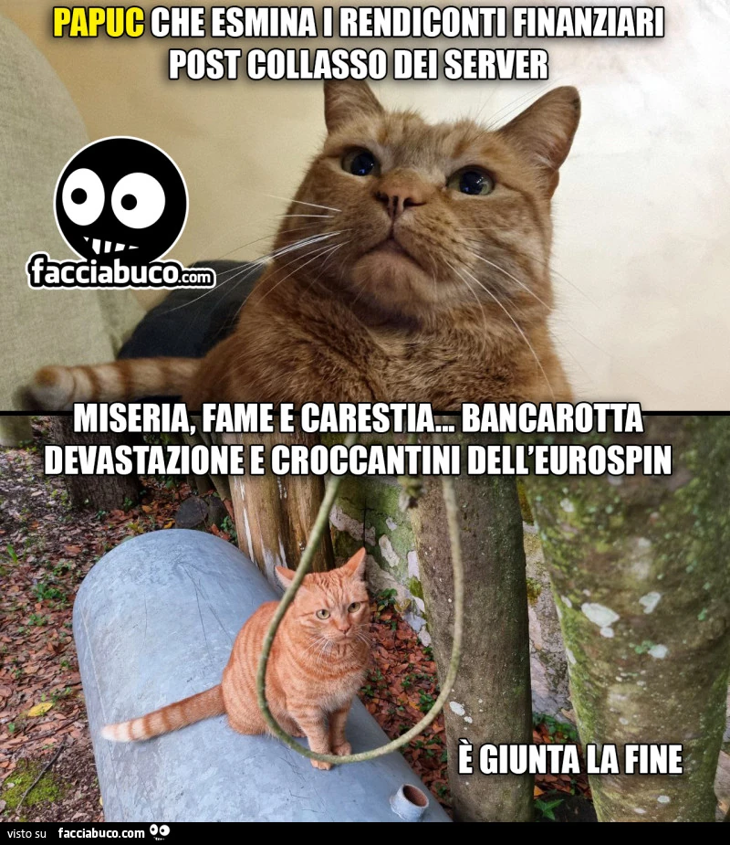 Papuc che esamina i rendiconti finanziari post collasso dei server. Miseria, fame e carestia, bancarotta devastazione e croccantini dell'eurospin. È Giunta la fine
