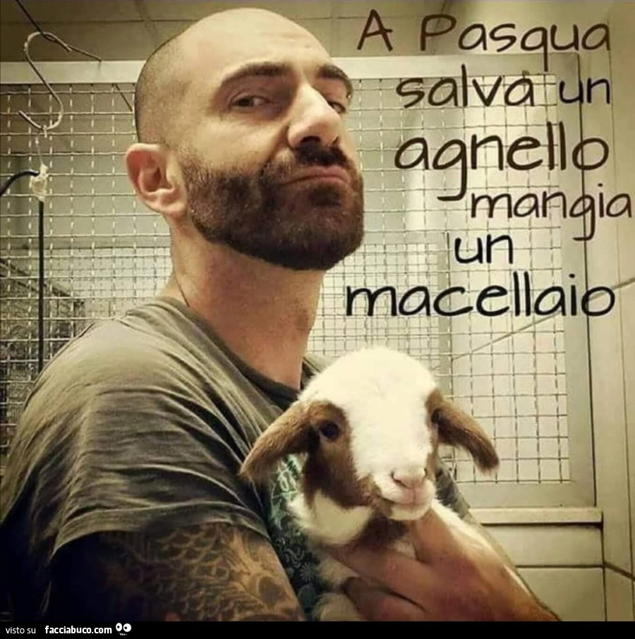 Vaccata
