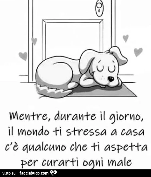 Mentre, durante il giorno, il mondo ti stressa a casa c'è qualcuno che ti aspetta per curarti ogni male
