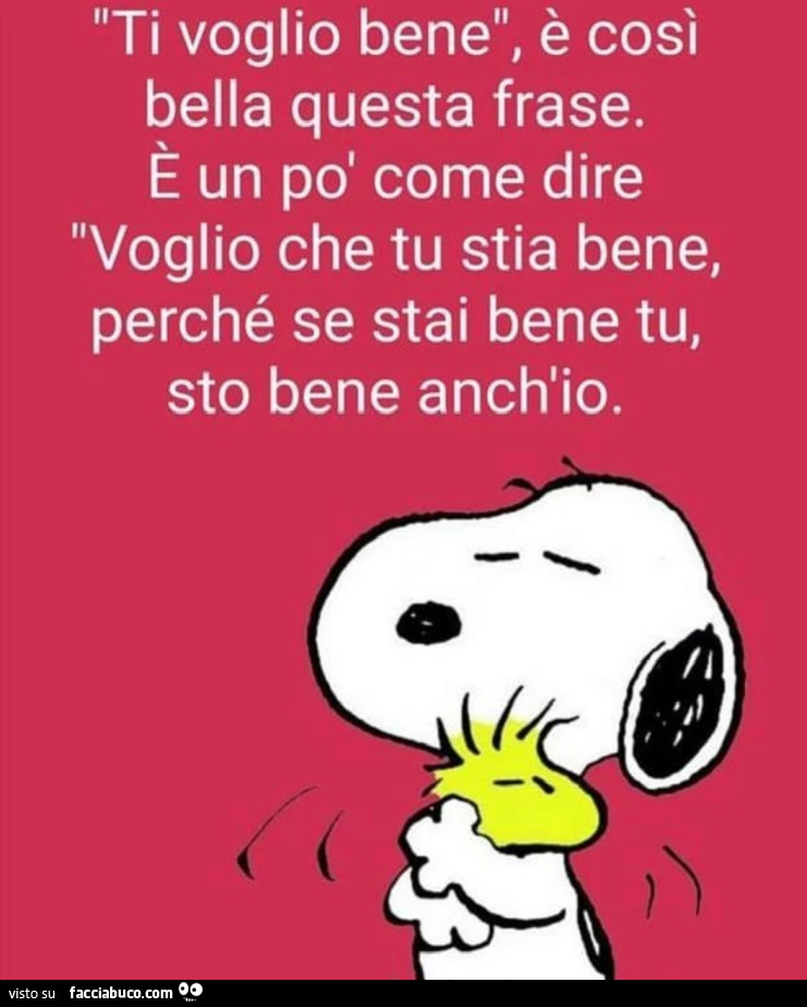Ti voglio bene, è così bella questa frase. È Un po' come dire voglio che tu stia bene, perché se stai bene tu, sto bene anch'io