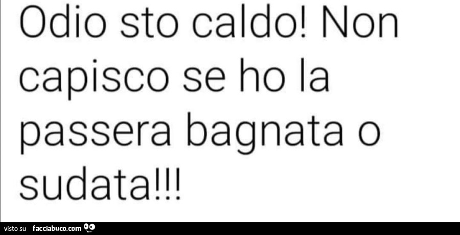 Odio sto caldo! Non capisco se ho la passera bagnata o sudata