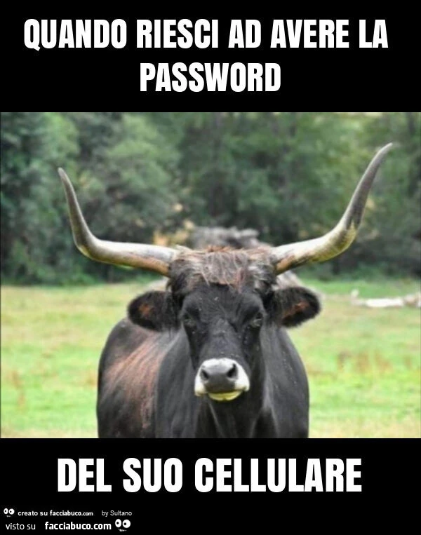 Quando riesci ad avere la password del suo cellulare
