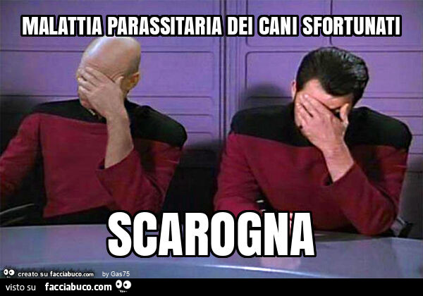 Malattia parassitaria dei cani sfortunati scarogna