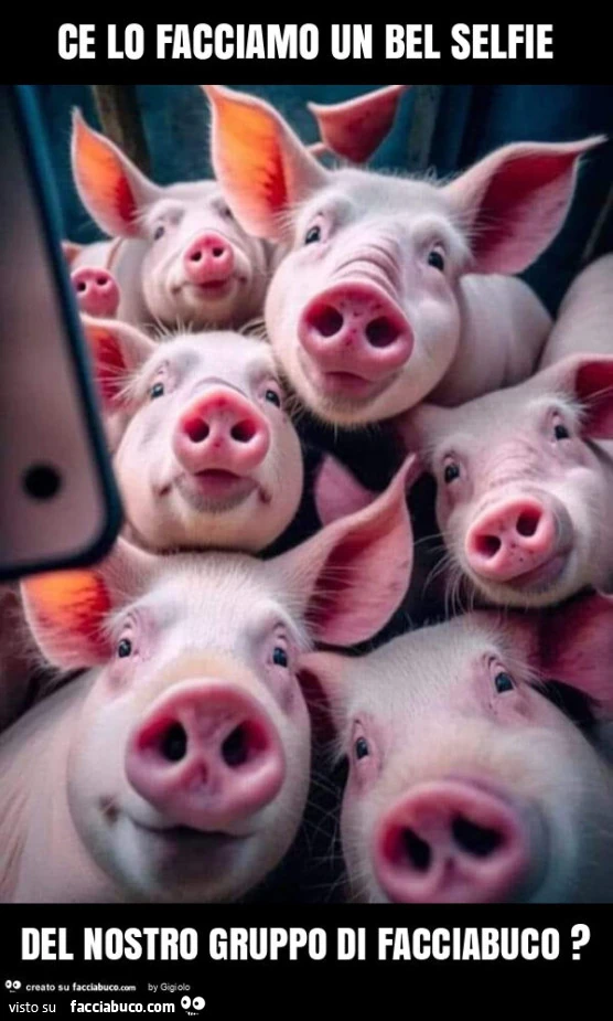 Ce lo facciamo un bel selfie del nostro gruppo di facciabuco?