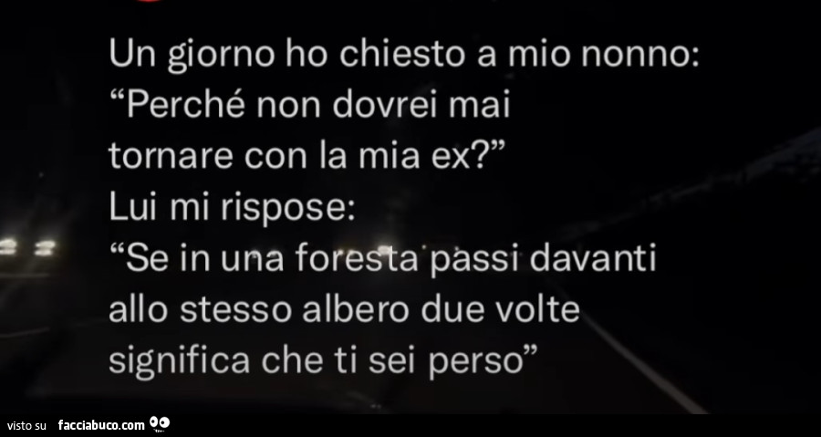 Un giorno ho chiesto a mio nonno: perché non dovrei mai tornare con la mia ex? Lui mi rispose: se in una foresta passi davanti allo stesso albero due volte significa che ti sei perso