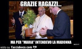 Vaccata