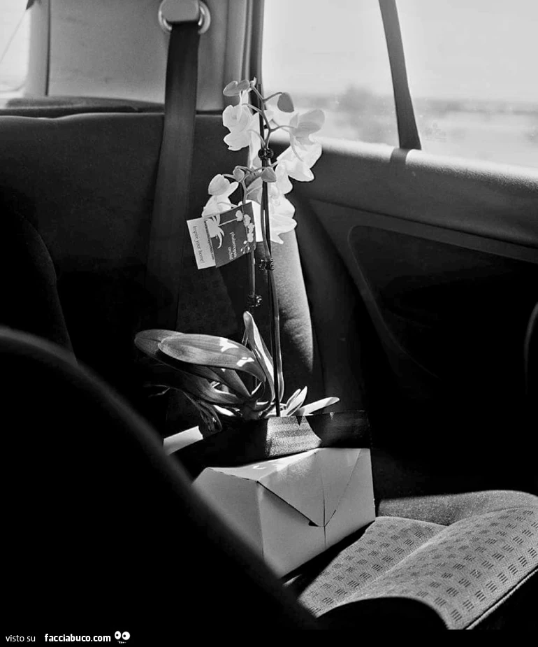Viaggio