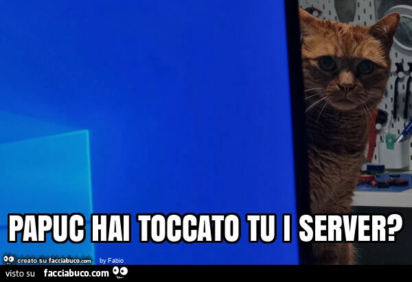 Papuc hai toccato tu i server?