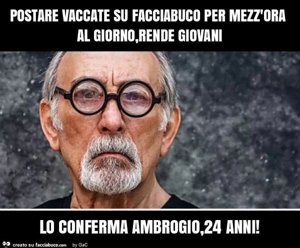 Vaccata
