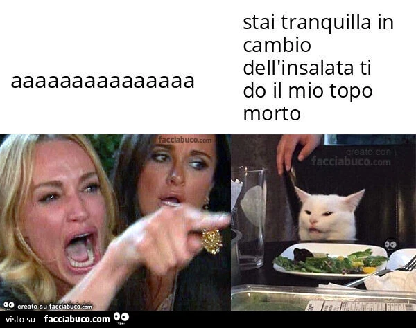 Aaaaaaaaaaaaaaah. Stai tranquilla in cambio dell'insalata ti do il mio topo morto
