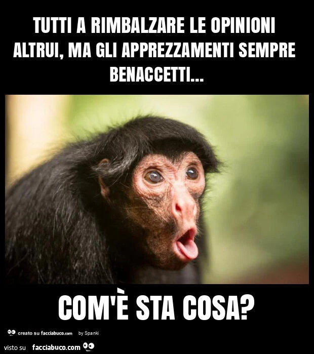 Tutti a rimbalzare le opinioni altrui, ma gli apprezzamenti sempre benaccetti&hellip; com'è sta cosa?