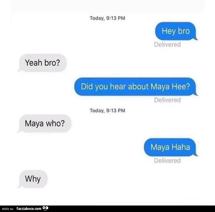 Hey bro. Yeah bro? Did you hear about maya hee? Maya who? Maya haha. Why