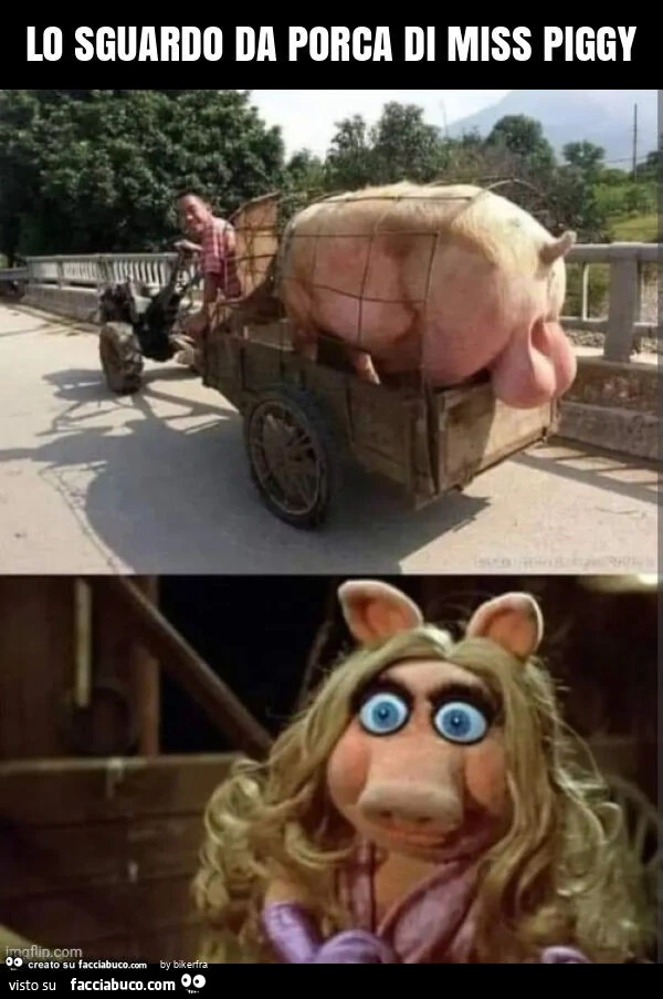 Lo sguardo da porca di miss piggy
