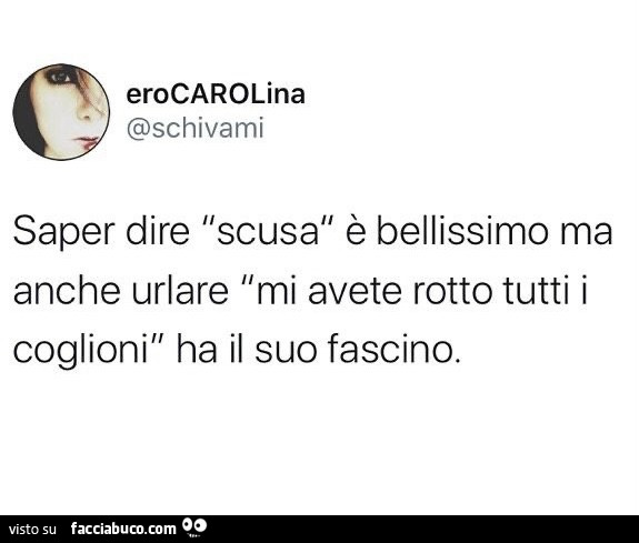 Saper dire scusa è bellissimo ma anche urlare mi avete rotto tutti i coglioni ha il suo fascino