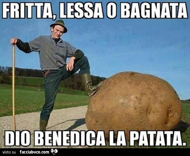 Vaccata