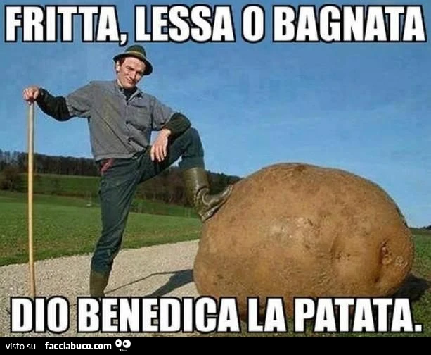 Vaccata