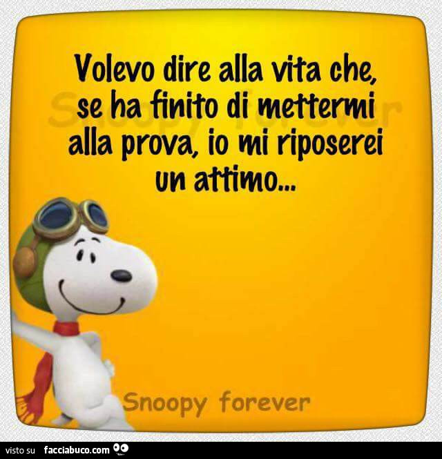 Volevo dire alla vita che se ha finito di mettermi alla prova, io mi riposerei un attimo