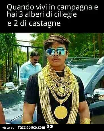 Quando vivi in campagna e hai 3 alberi di ciliege e 2 di castagne
