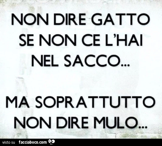 Non dire gatto se non ce l'hai nel sacco&hellip; ma soprattutto non dire mulo
