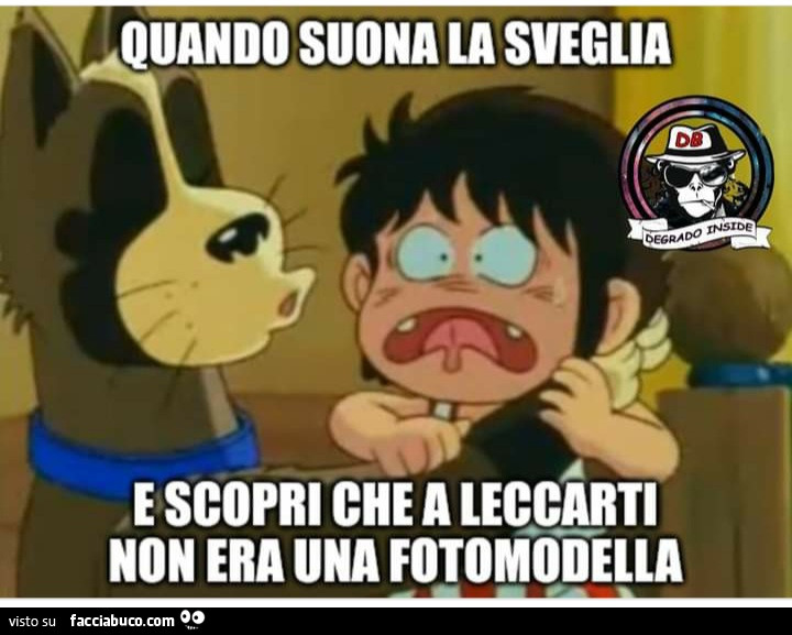 Quando suona la sveglia e scopri che a leccarti non era