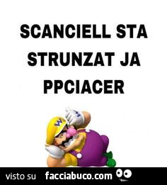 Vaccata
