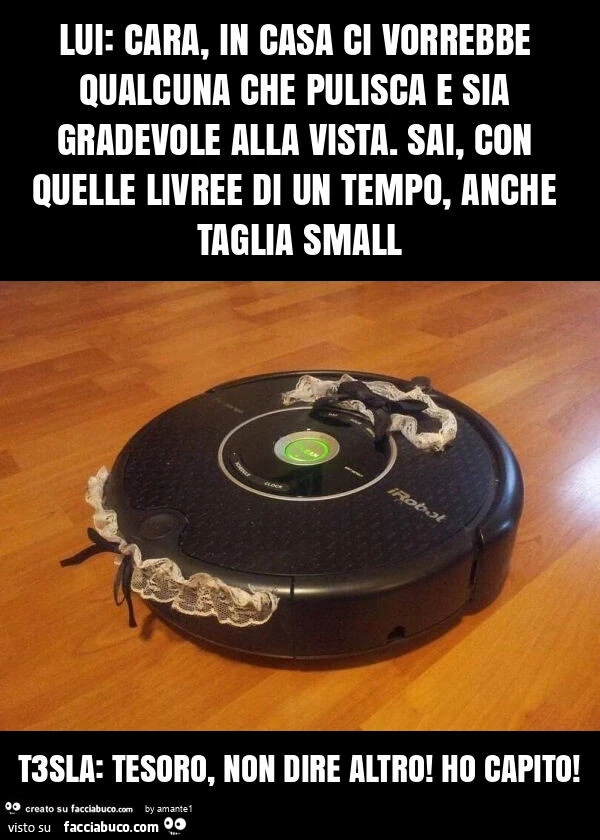 Lui: cara, in casa ci vorrebbe qualcuna che pulisca e sia gradevole alla vista. Sai, con quelle livree di un tempo, anche taglia small t3sla: tesoro, non dire altro! Ho capito