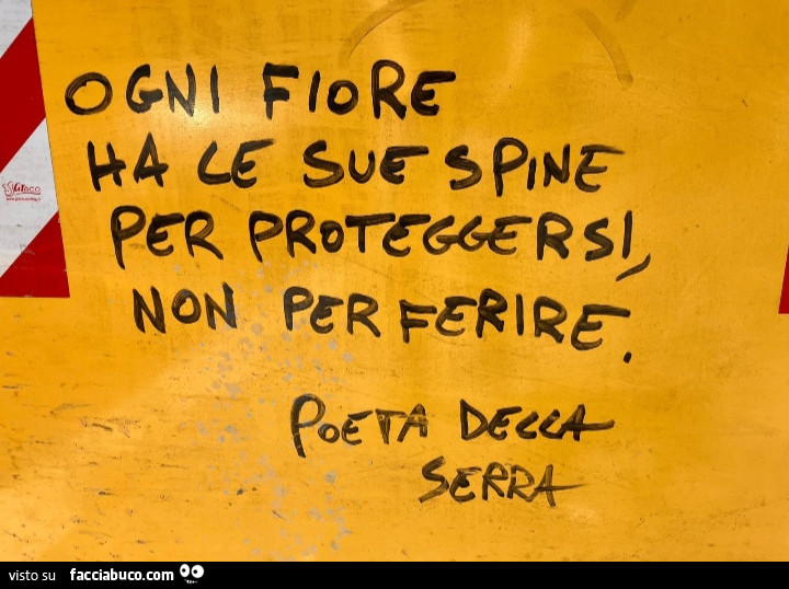 Ogni fiore ha le sue spine per proteggersi, non per ferire
