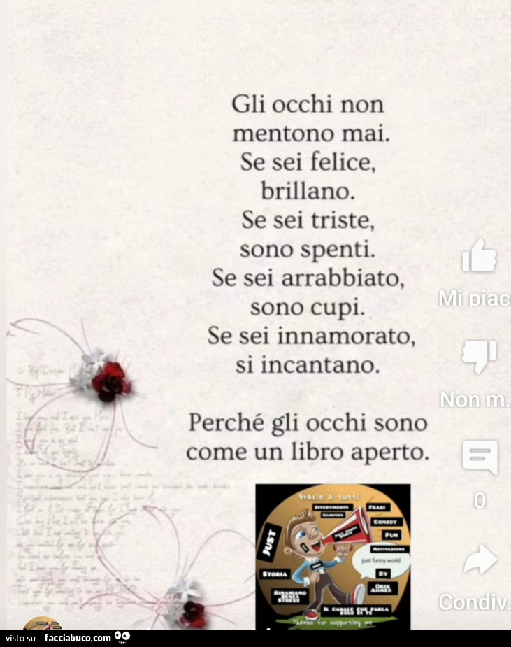 Gli occhi non mentono mai. Se sei felice, brillano. Se sei triste, sono spenti. Se sei arrabbiato, sono cupi. Se sei innamorato, si incantano. Perché gli occhi sono come un libro aperto
