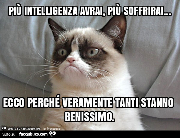 Pi Intelligenza Avrai Pi Soffrirai Ecco Perch Veramente Tanti Stanno Benissimo Facciabuco Com