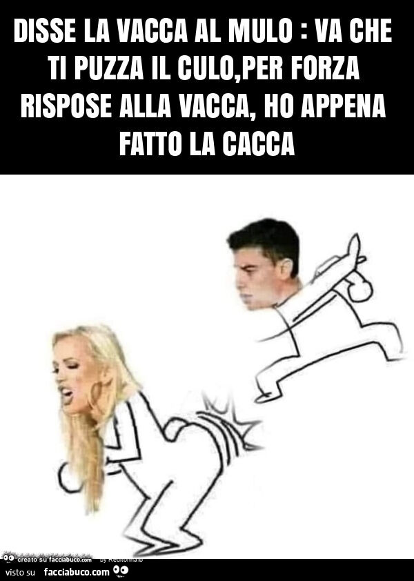 Disse la vacca al mulo: va che ti puzza il culo, per forza rispose alla vacca, ho appena fatto la cacca
