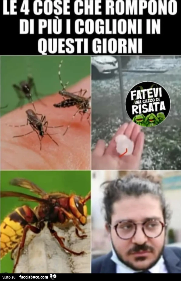 Vaccata