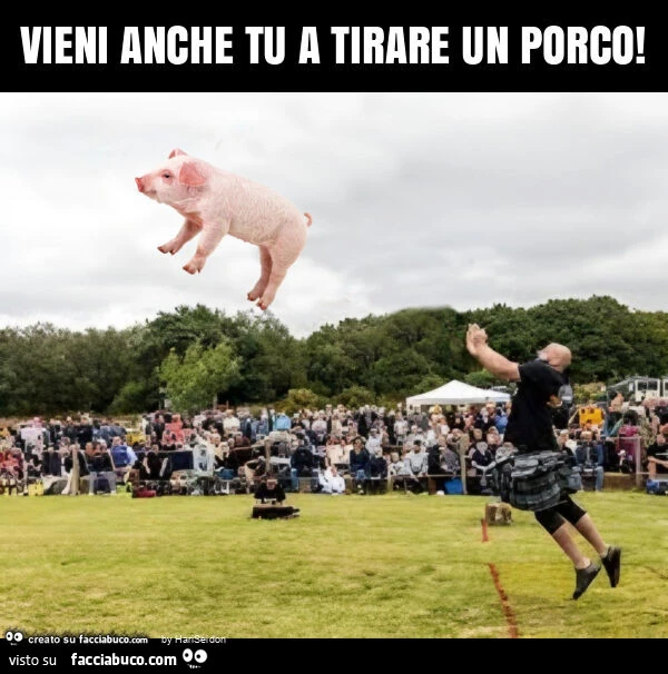 Vieni anche tu a tirare un porco
