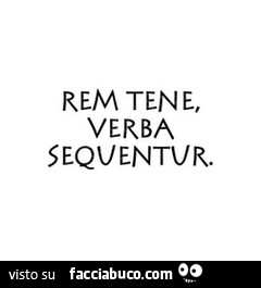 Rem tene, verba sequentur