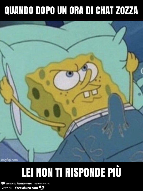 Quando dopo un ora di chat zozza lei non ti risponde più