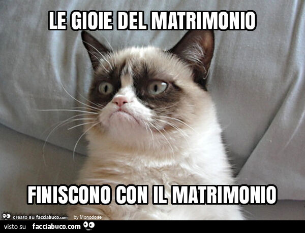 Le gioie del matrimonio finiscono con il matrimonio