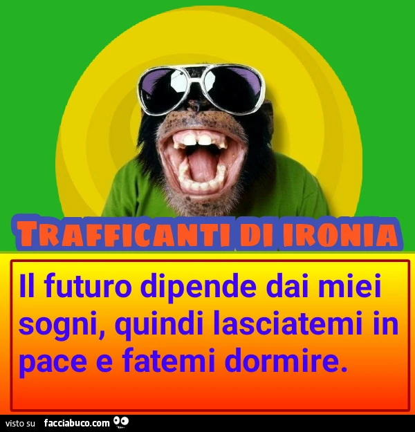 Il futuro dipende dai miei sogni, quindi lasciatemi in pace e fatemi dormire