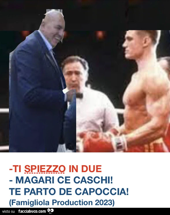 Vaccata