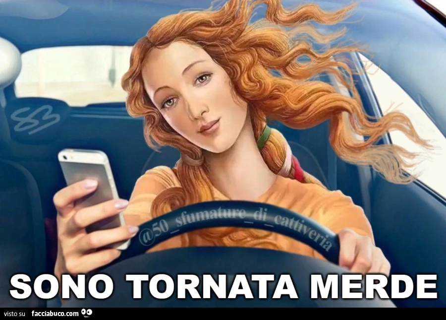 SONO TORNATA MERDE