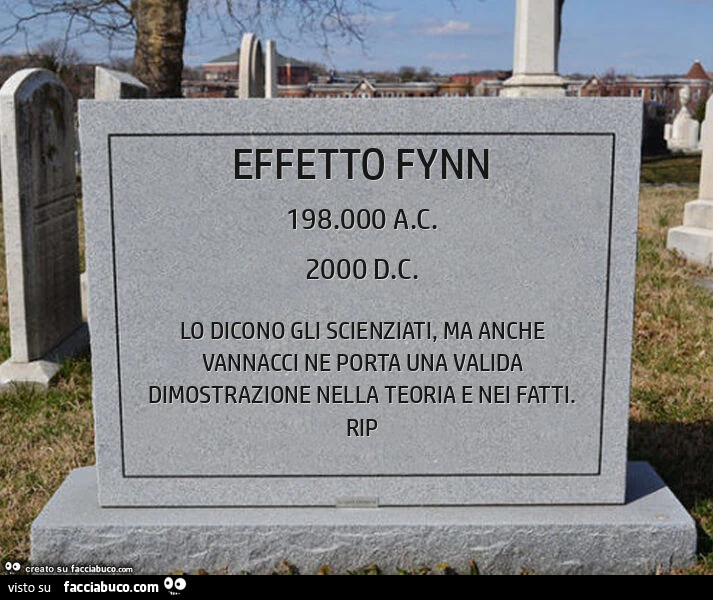 Effetto fynn
