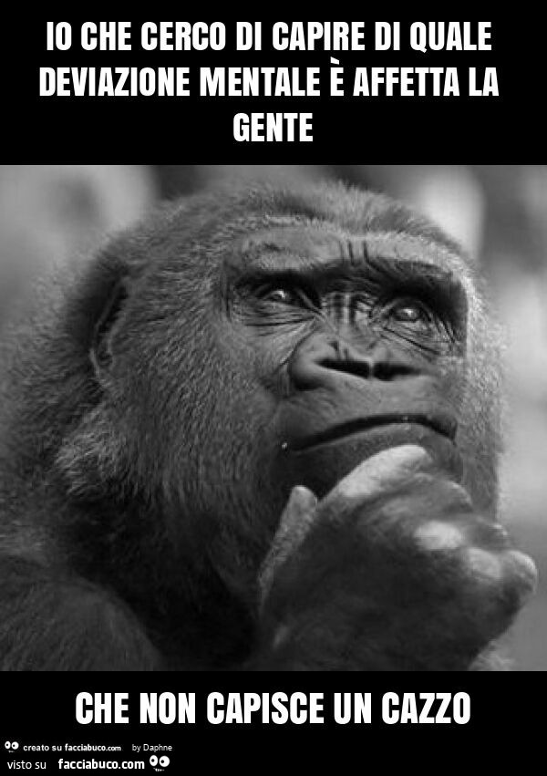 Io che cerco di capire di quale deviazione mentale è affetta la gente che non capisce un cazzo