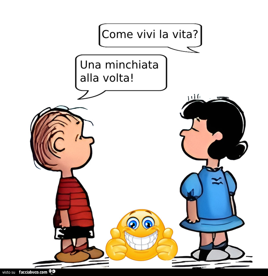 Come vivi la vita? Una minchiata alla volta
