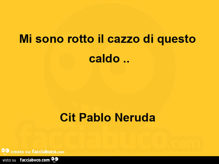 Mi sono rotto il cazzo di questo caldo. Cit pablo neruda 