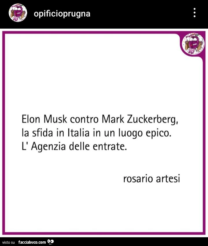 Opificioprugna elon musk contro mark zuckerberg, la sfida in italia in un luogo epico. L' agenzia delle entrate. Rosario artesi