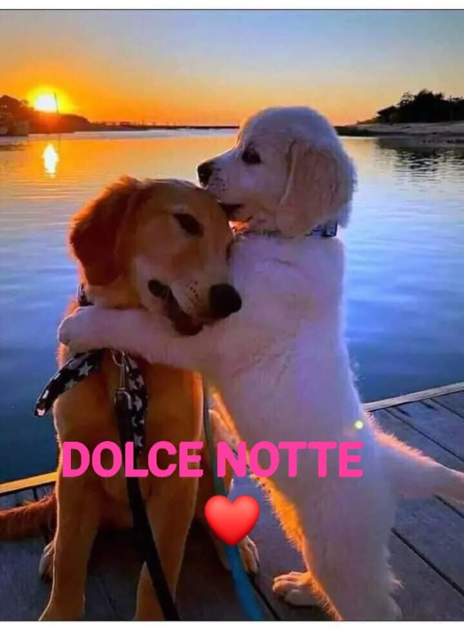 Buona notte