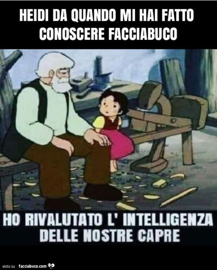 Heidi da quando mi hai fatto conoscere facciabuco