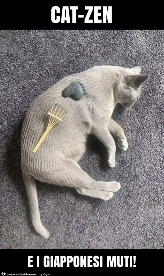 Cat-zen e i giapponesi muti