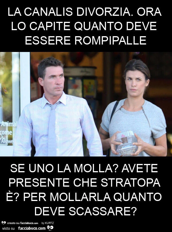 La canalis divorzia. Ora lo capite quanto deve essere rompipalle se uno la molla? Avete presente che stratopa è? Per mollarla quanto deve scassare?